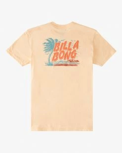 BILLABONG Boys' (2-7) Tradewinds Short Sleeve T-Shirt DUSTY MELON -Mens Accessories Sales 2022 abtzt00168 billabongf dtm bck1 1