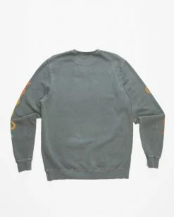 BILLABONG Wave Washed Plants Crewneck Pullover CHARCOAL 13 BILLABONG Wave Washed Plants Crewneck Pullover CHARCOAL -Mens Accessories Sales 2022 abyft00300 billabongf chr bck1