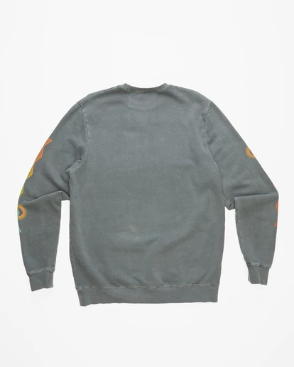 BILLABONG Wave Washed Plants Crewneck Pullover CHARCOAL 7 BILLABONG Wave Washed Plants Crewneck Pullover CHARCOAL - Image 7