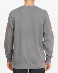 BILLABONG Wave Washed Plants Crewneck Pullover CHARCOAL 10 BILLABONG Wave Washed Plants Crewneck Pullover CHARCOAL -Mens Accessories Sales 2022 abyft00300 billabongw chr bck1