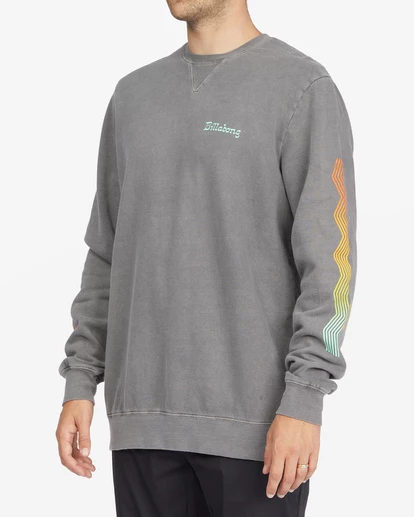 BILLABONG Wave Washed Plants Crewneck Pullover CHARCOAL 2 BILLABONG Wave Washed Plants Crewneck Pullover CHARCOAL - Image 2