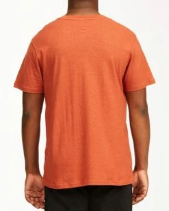 BILLABONG A/Div Arch Hemp Short Sleeve T-Shirt AUBURN -Mens Accessories Sales 2022 abykt00129 billabongw aub bck1 1