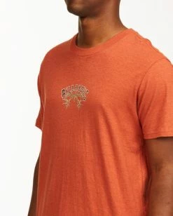 BILLABONG A/Div Arch Hemp Short Sleeve T-Shirt AUBURN -Mens Accessories Sales 2022 abykt00129 billabongw aub dtl1 1