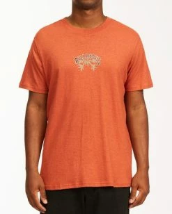 BILLABONG A/Div Arch Hemp Short Sleeve T-Shirt AUBURN
