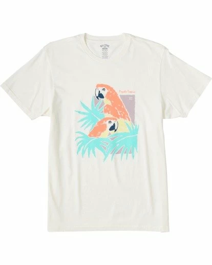 BILLABONG Scarlet Short Sleeve Wave Washed T-Shirt OFF WHITE 5 BILLABONG Scarlet Short Sleeve Wave Washed T-Shirt OFF WHITE - Image 5