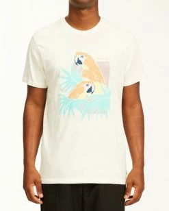 BILLABONG Scarlet Short Sleeve Wave Washed T-Shirt OFF WHITE