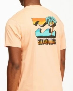 BILLABONG BBTV Short Sleeve Wave Washed T-Shirt LIGHT PEACH 10 BILLABONG BBTV Short Sleeve Wave Washed T-Shirt LIGHT PEACH -Mens Accessories Sales 2022 abyzt00219 billabongw lpc dtl1 1