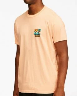 BILLABONG BBTV Short Sleeve Wave Washed T-Shirt LIGHT PEACH 11 BILLABONG BBTV Short Sleeve Wave Washed T-Shirt LIGHT PEACH -Mens Accessories Sales 2022 abyzt00219 billabongw lpc dtl2 1