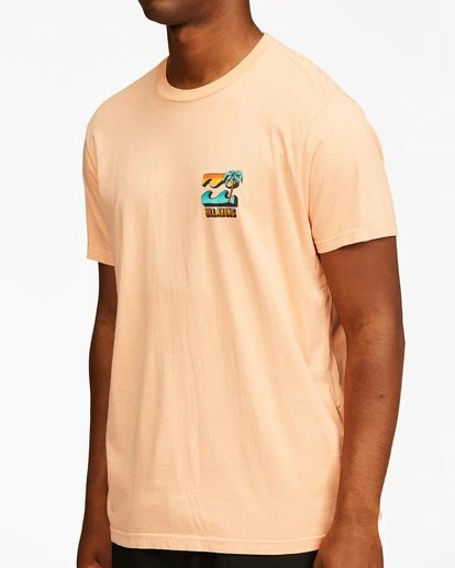 BILLABONG BBTV Short Sleeve Wave Washed T-Shirt LIGHT PEACH 5 BILLABONG BBTV Short Sleeve Wave Washed T-Shirt LIGHT PEACH - Image 5