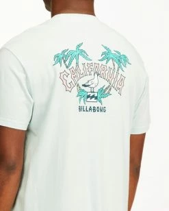BILLABONG Arch California Short Sleeve T-Shirt WHITE 12 BILLABONG Arch California Short Sleeve T-Shirt WHITE -Mens Accessories Sales 2022 abyzt00349 billabongw cbu dtl1