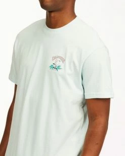 BILLABONG Arch California Short Sleeve T-Shirt WHITE 13 BILLABONG Arch California Short Sleeve T-Shirt WHITE -Mens Accessories Sales 2022 abyzt00349 billabongw cbu dtl2