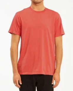 BILLABONG Essential Short Sleeve Wave Washed T-Shirt VINTAGE CORAL -Mens Accessories Sales 2022 abyzt00652 billabongw vco frt1 1