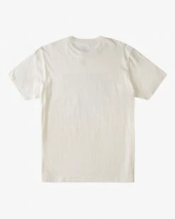 BILLABONG A/Div Glacier Runoff Short Sleeve T-Shirt SNOW -Mens Accessories Sales 2022 abyzt00683 billabongv sno bck1 1