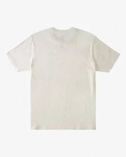 BILLABONG A/Div Iceberg Aerial Short Sleeve T-Shirt SNOW -Mens Accessories Sales 2022 abyzt00685 billabongv sno bck1 1