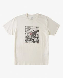 BILLABONG A/Div Iceberg Aerial Short Sleeve T-Shirt SNOW -Mens Accessories Sales 2022 abyzt00685 billabongv sno frt1 1