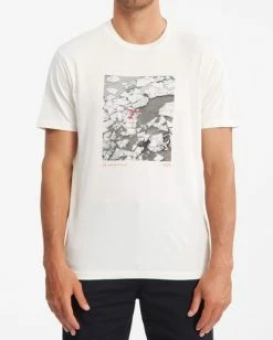 BILLABONG A/Div Iceberg Aerial Short Sleeve T-Shirt SNOW