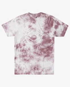 BILLABONG Tie Dye Rotor Arch Short Sleeve Tee MINT -Mens Accessories Sales 2022 abyzt00761 billabongf phz frt1 1