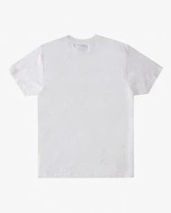 BILLABONG Calder Short Sleeve T-Shirt WHITE -Mens Accessories Sales 2022 abyzt00805 billabongf wht bck1 1