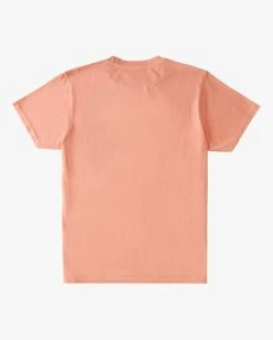 BILLABONG Evolution Wave Washed Short Sleeve T-Shirt LIGHT PEACH -Mens Accessories Sales 2022 abyzt00816 billabongf lpc bck1 1