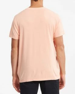 BILLABONG Evolution Wave Washed Short Sleeve T-Shirt LIGHT PEACH -Mens Accessories Sales 2022 abyzt00816 billabongw lpc bck1 1