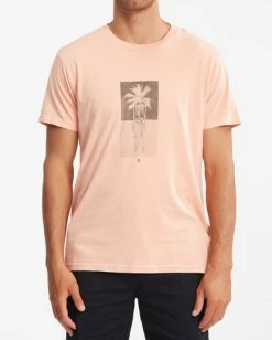 BILLABONG Evolution Wave Washed Short Sleeve T-Shirt LIGHT PEACH