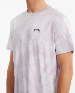 BILLABONG Arch Patch Tie-Dye Short Sleeve T-Shirt LIGHT LAVENDER 13 BILLABONG Arch Patch Tie-Dye Short Sleeve T-Shirt LIGHT LAVENDER -Mens Accessories Sales 2022 abyzt00819 billabongw pev0 dtl1 1