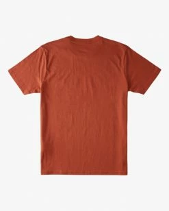 BILLABONG Woodland Short Sleeve T-Shirt RUST 13 BILLABONG Woodland Short Sleeve T-Shirt RUST -Mens Accessories Sales 2022 abyzt00842 billabongv rst bck1 1