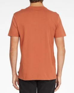 BILLABONG Woodland Short Sleeve T-Shirt RUST 10 BILLABONG Woodland Short Sleeve T-Shirt RUST -Mens Accessories Sales 2022 abyzt00842 billabongw rst bck1 1