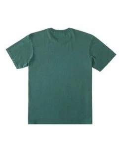 BILLABONG Core Arch Wave Washed Short Sleeve T-Shirt ALPINE -Mens Accessories Sales 2022 abyzt00895 billabongf alp bck1 2