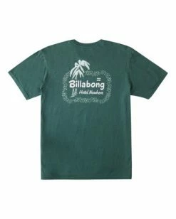 BILLABONG Leaves Wave Washed Short Sleeve T-Shirt ALPINE -Mens Accessories Sales 2022 abyzt00896 billabongf alp bck1 1