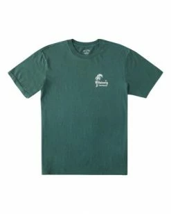 BILLABONG Leaves Wave Washed Short Sleeve T-Shirt ALPINE -Mens Accessories Sales 2022 abyzt00896 billabongf alp frt1 1