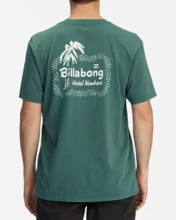BILLABONG Leaves Wave Washed Short Sleeve T-Shirt ALPINE -Mens Accessories Sales 2022 abyzt00896 billabongw alp bck1 1