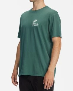 BILLABONG Leaves Wave Washed Short Sleeve T-Shirt ALPINE -Mens Accessories Sales 2022 abyzt00896 billabongw alp sd1 1