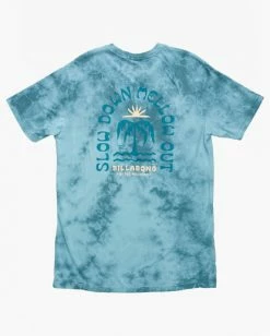 BILLABONG Heat Tie-Dye Short Sleeve T-Shirt MARINE -Mens Accessories Sales 2022 abyzt01241 billabongf mre bck1 2